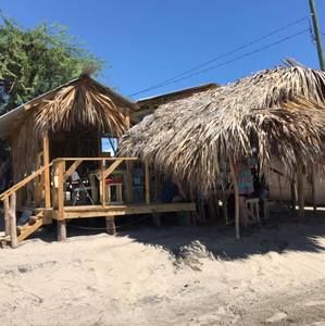 Meet your Posher, Terri